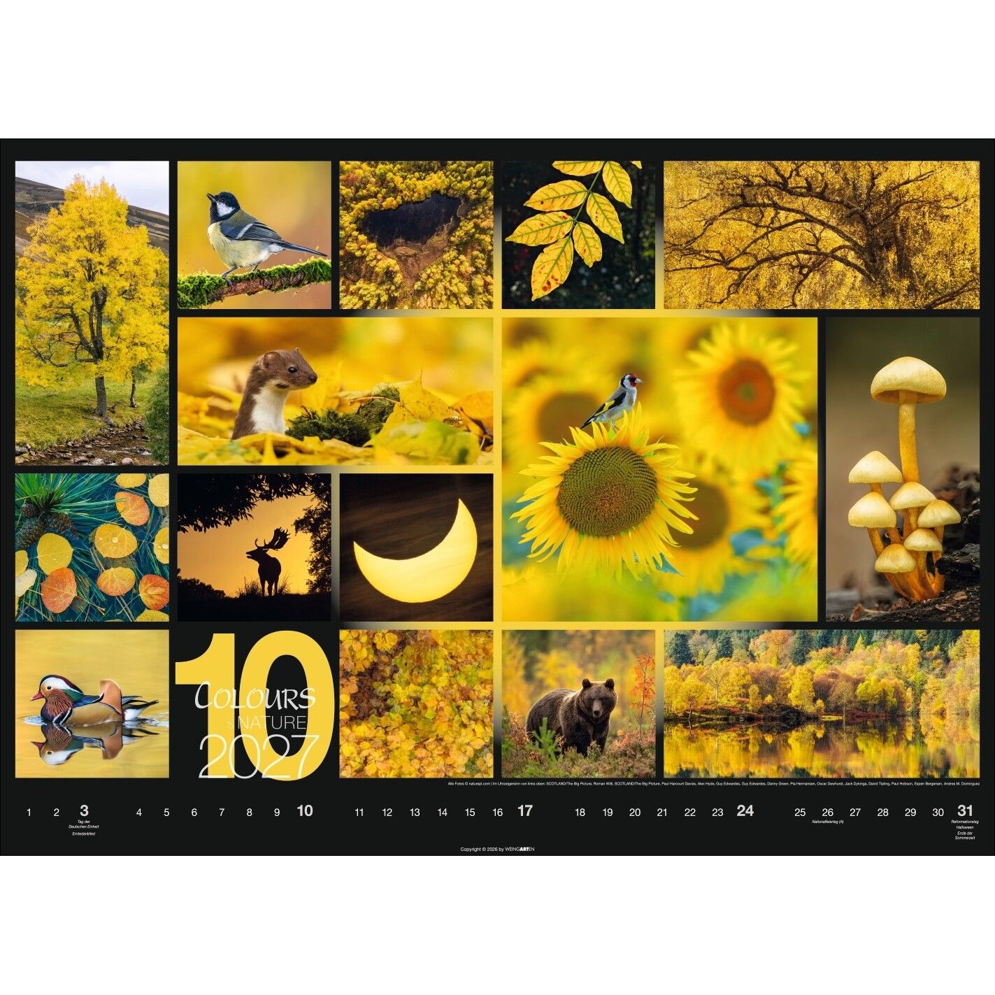 Colours of Nature - Landschaft & Natur Kalender-409