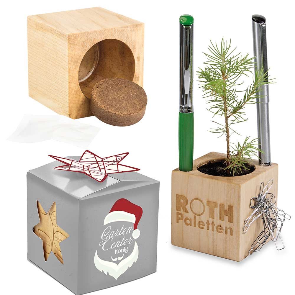 Pflanz-Holz Büro Star-Box Xmas mit Fichtensamen - Fichte, 1 Seite gelasert-78