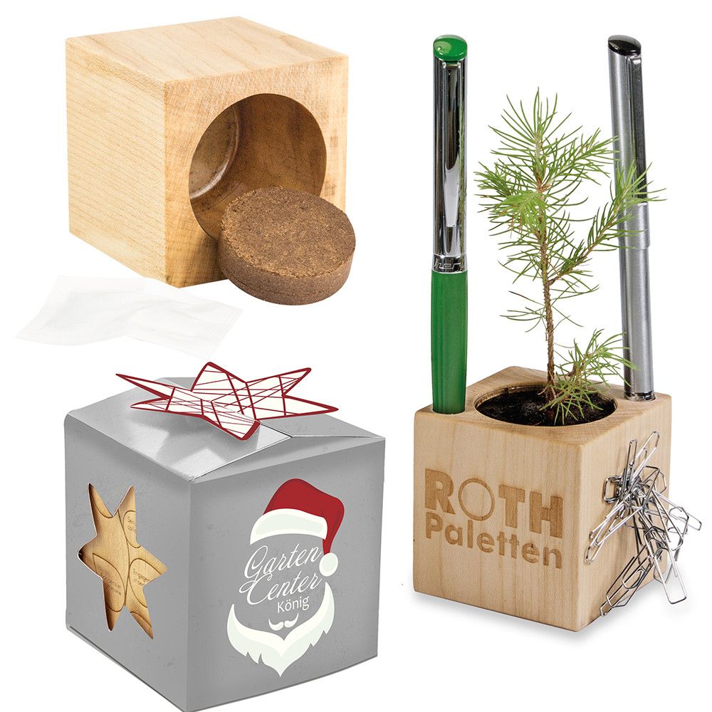 Pflanz-Holz Büro Star-Box Xmas mit Fichtensamen - Fichte, 1 Seite gelasert-78