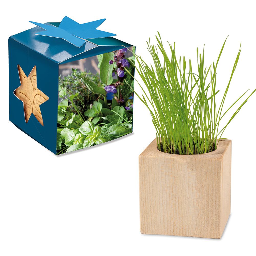 Pflanz-Holz Maxi Star-Box mit Samen - Kräutermischung-181
