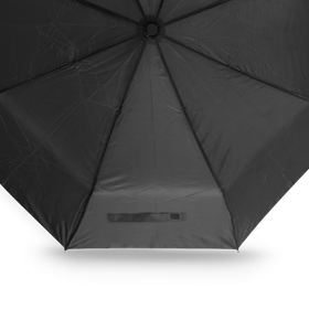 Veredelungsposition Regenschirm, Band