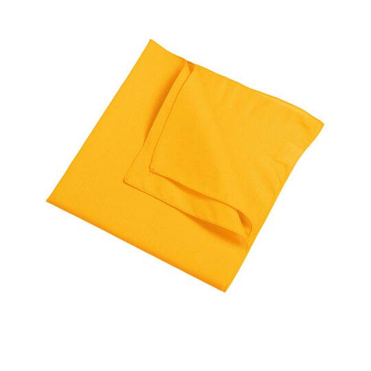 Bandana - black-471