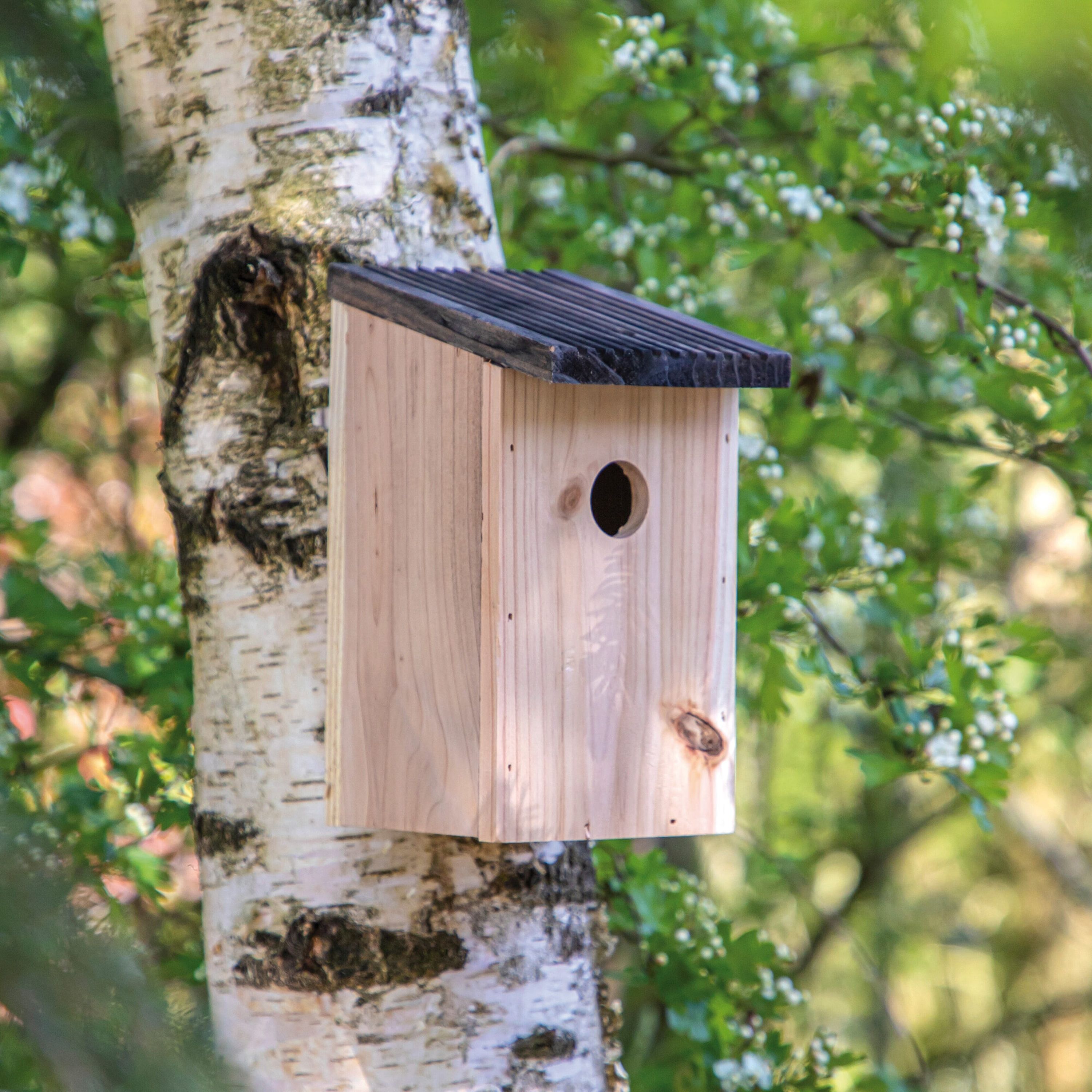 Nistkasten rustikal - holz-520