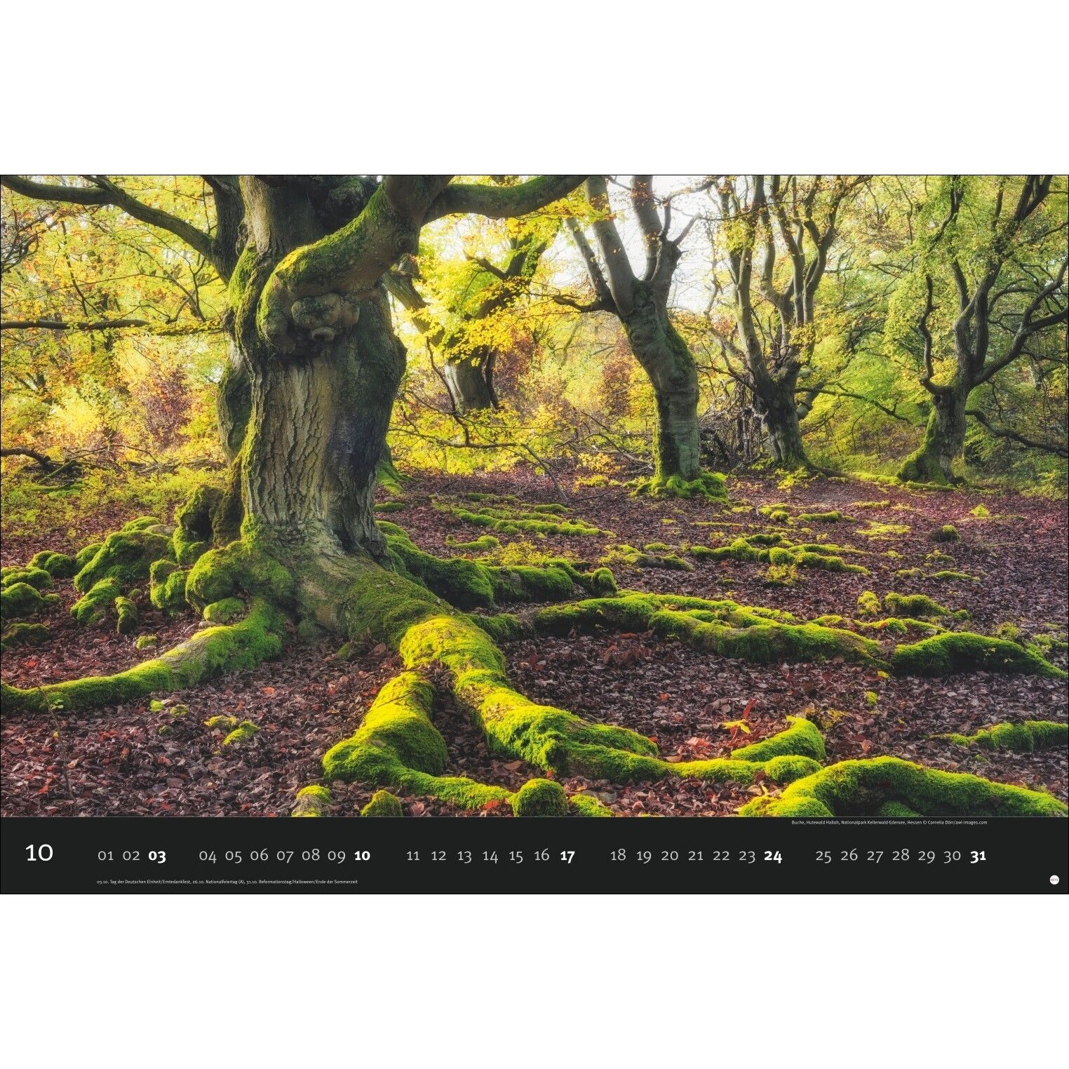 AvH Deutschlands Naturparadiese - Landschaft & Natur Kalender-639
