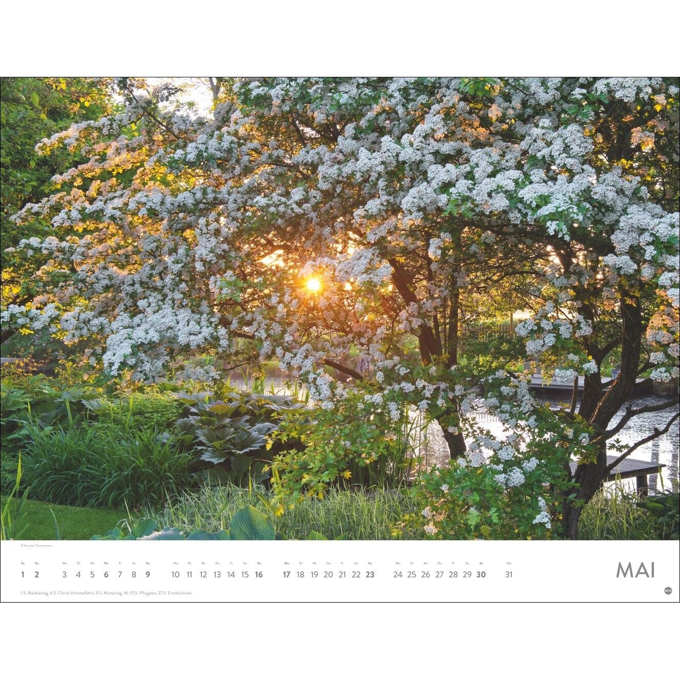 Gartenparadies Posterkalender-957