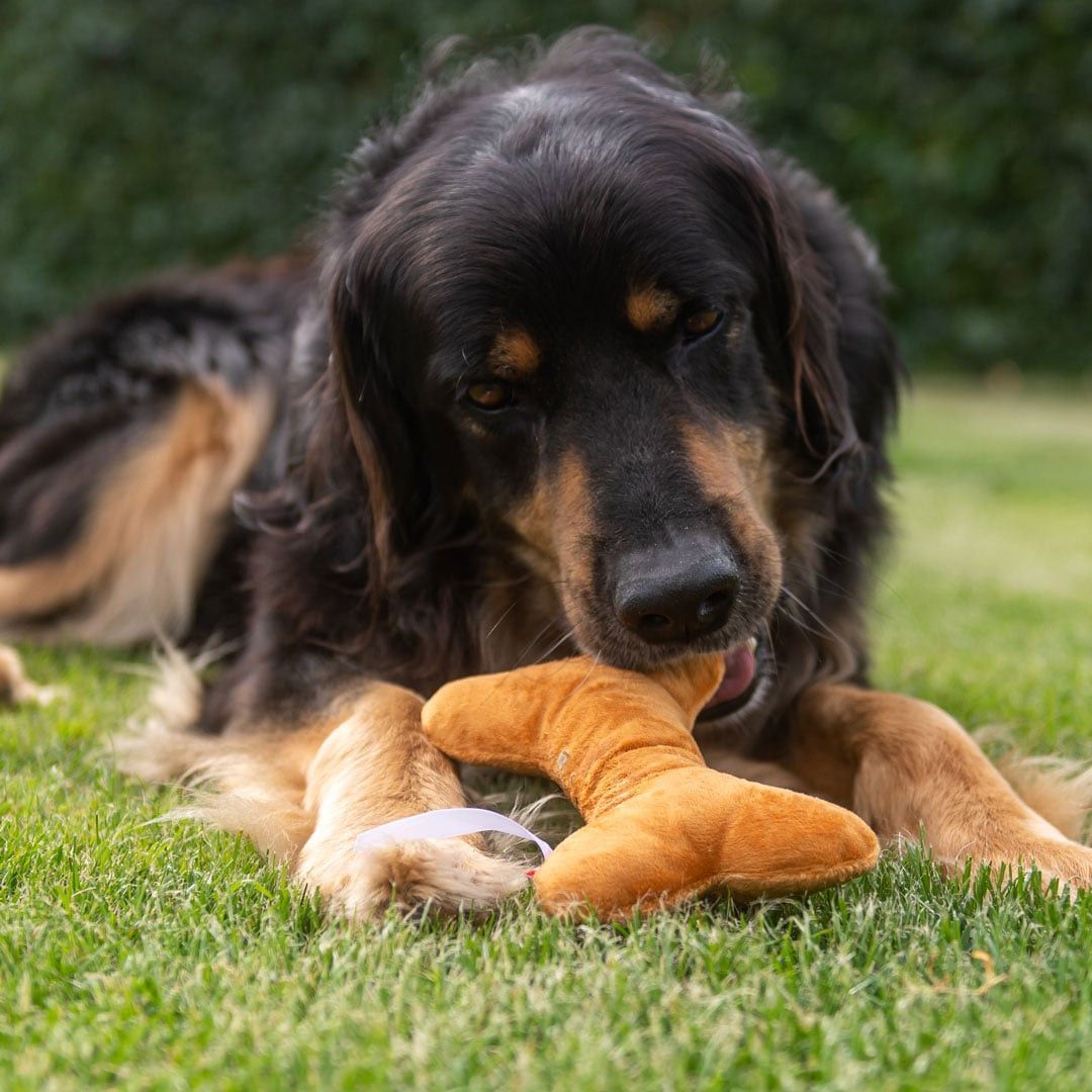 MiniFeet® Hundespielzeug Knochen - braun-820