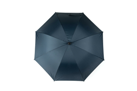 Veredelungsposition Regenschirm