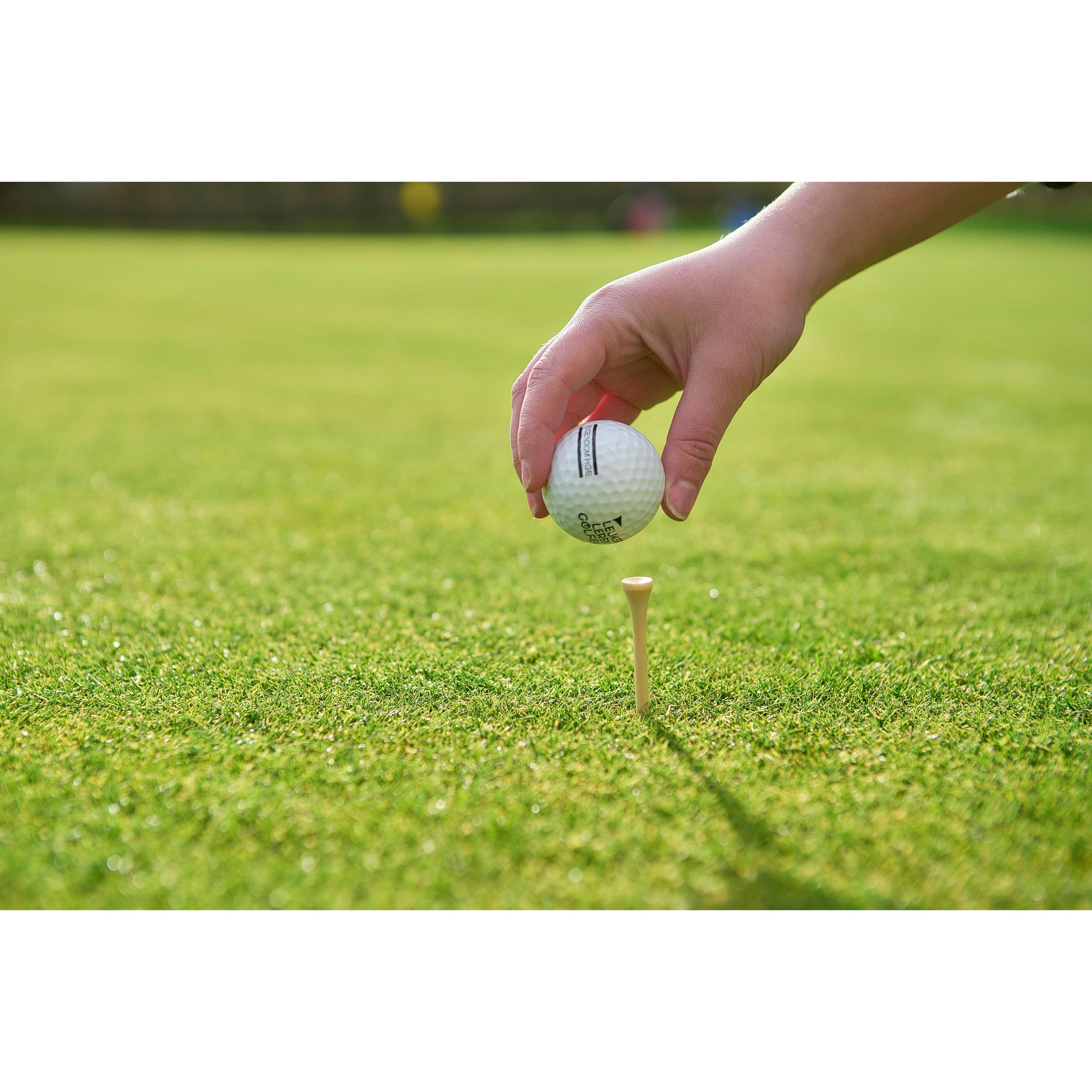 Golf Tees aus Holz - braun-209