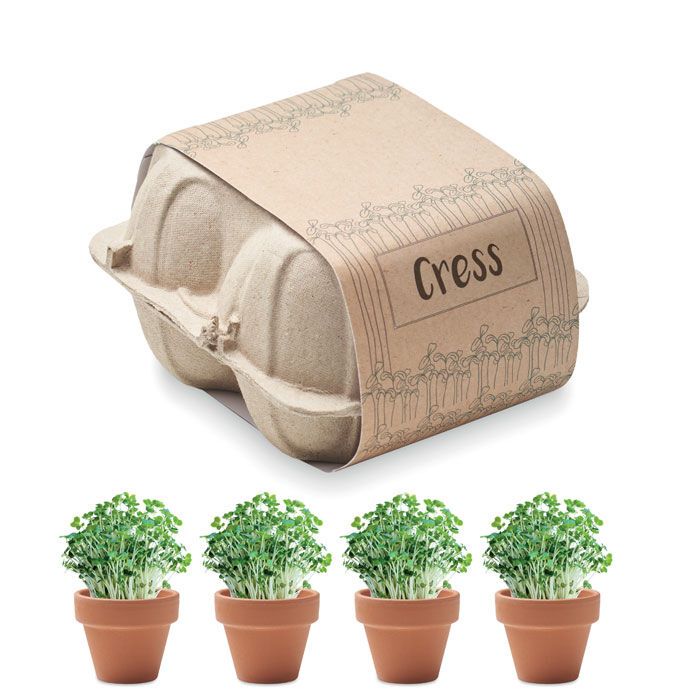 Saat-Set Kresse CRESS - beige-798