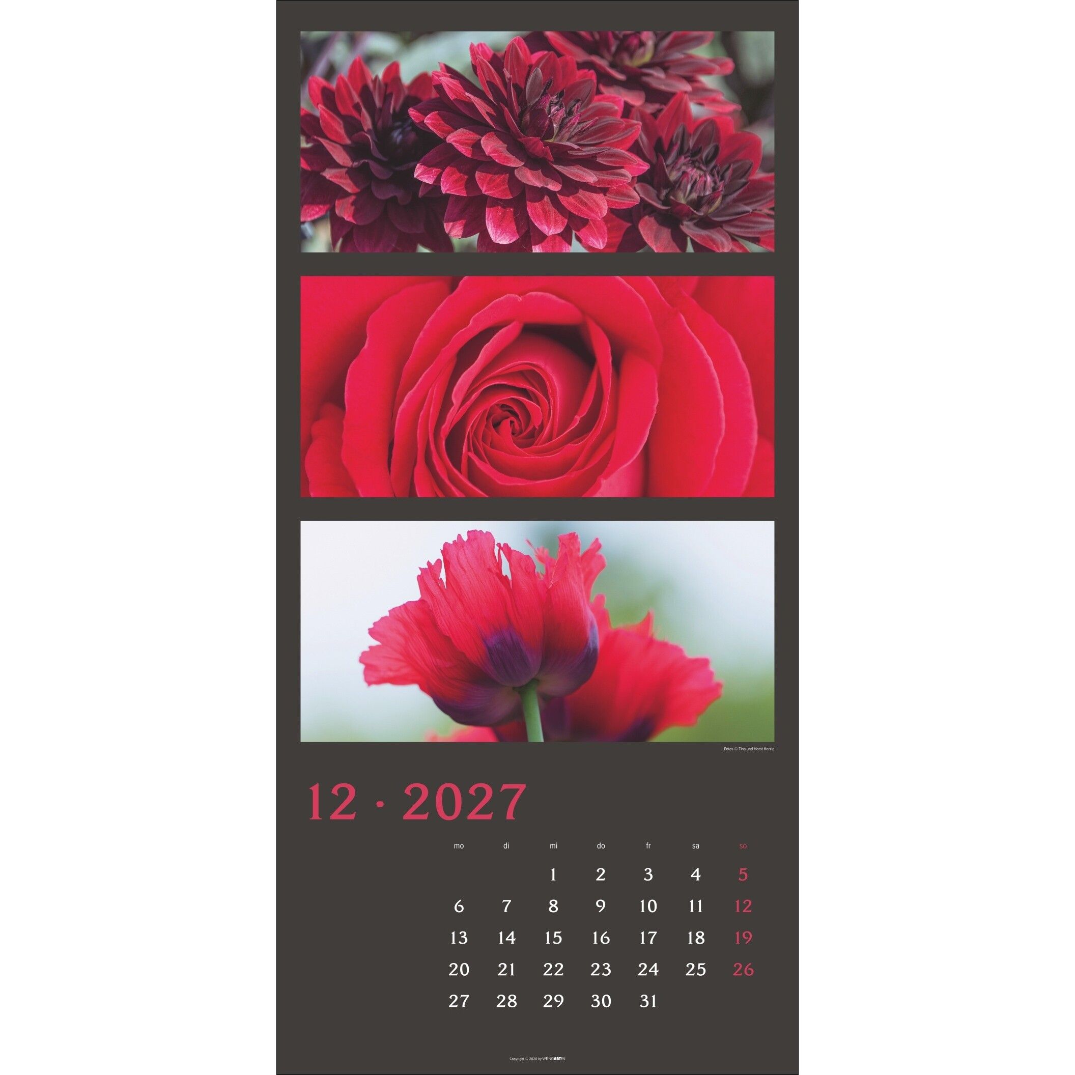 Die Farben der Natur - Landschaft & Natur Kalender-875