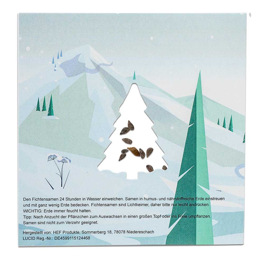 Samen-Karte Tannenbaum - Fichte-715