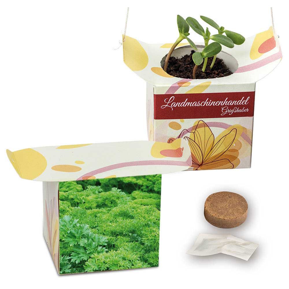 Blumenampel - Petersilie-969