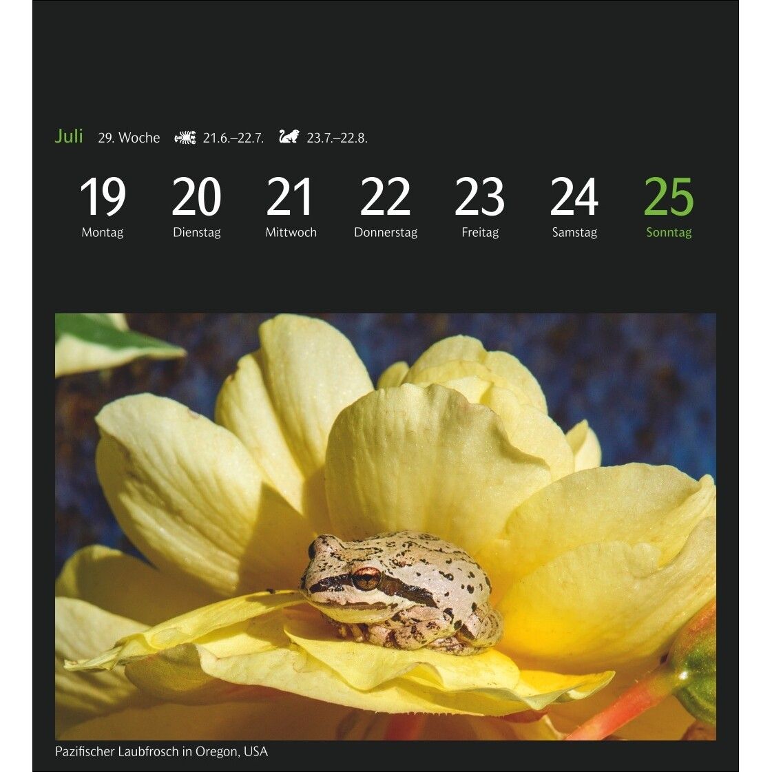 GEO Magische Natur Postkartenkalender-729