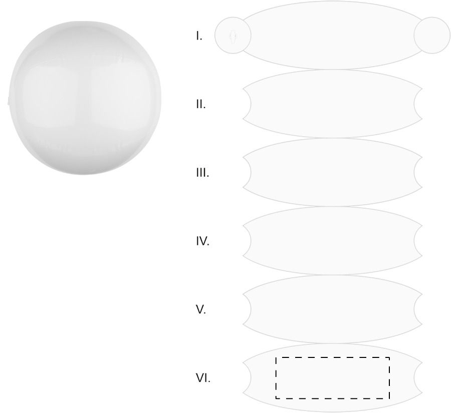 Veredelungsposition Segment 6