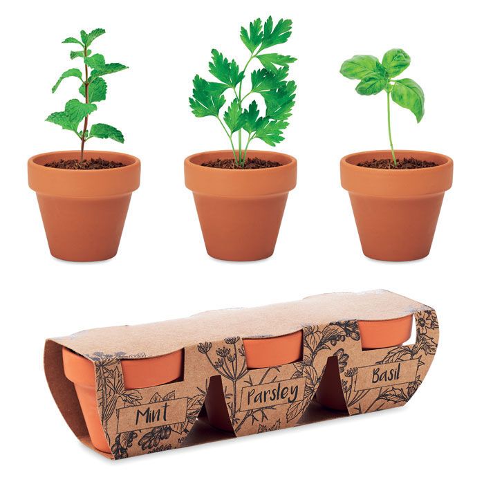 Terracotta-Set Kräuter FLOWERPOT - holz-497