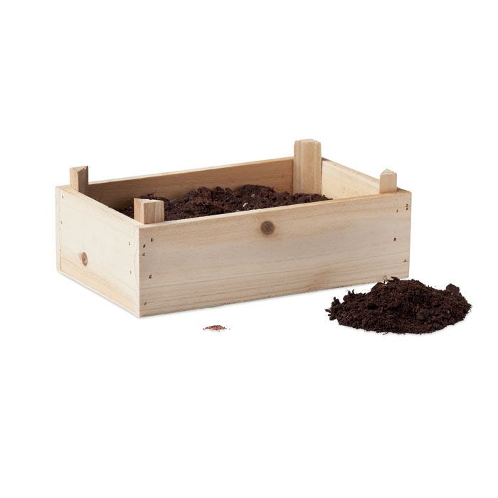 Saat-Set Erdbeere STRAWBERRY - holz-473