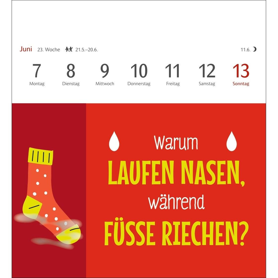 Der fette Vogel bricht den Ast Postkartenkalender-247