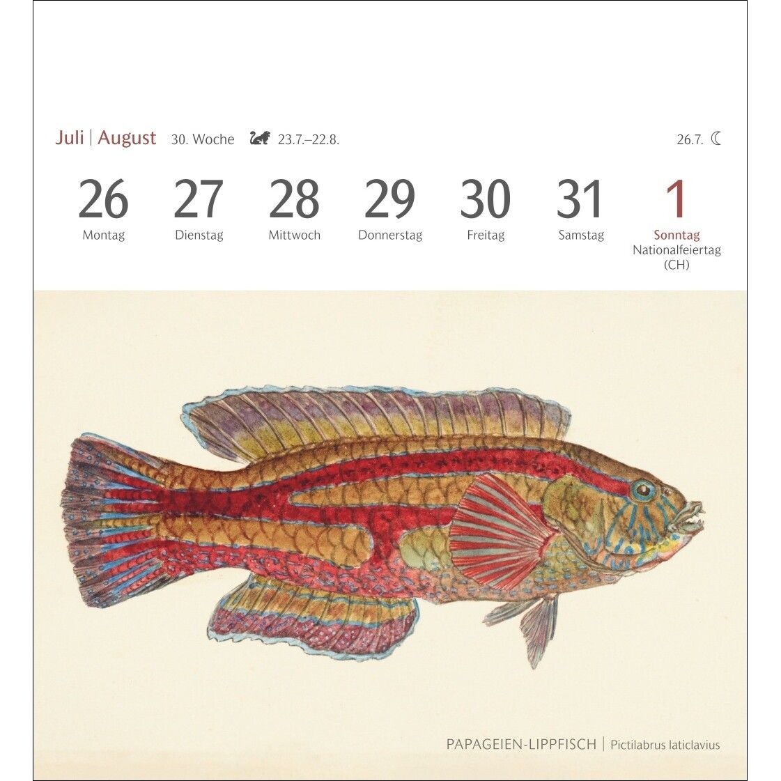 Fische Postkartenkalender-12