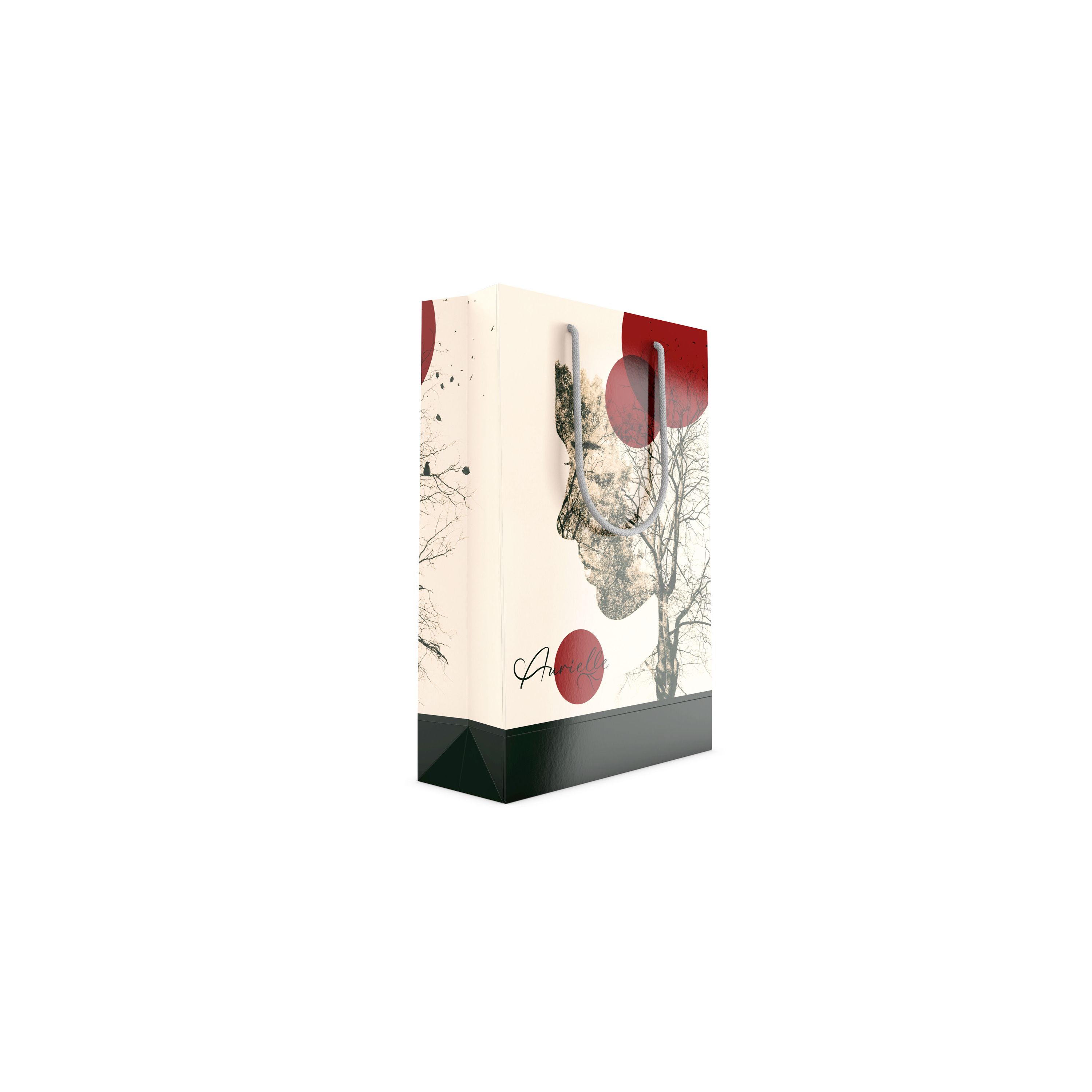 Papiertragetasche, 24 x 9 x 35 cm, PP-Kordel, grau, glänzend-80