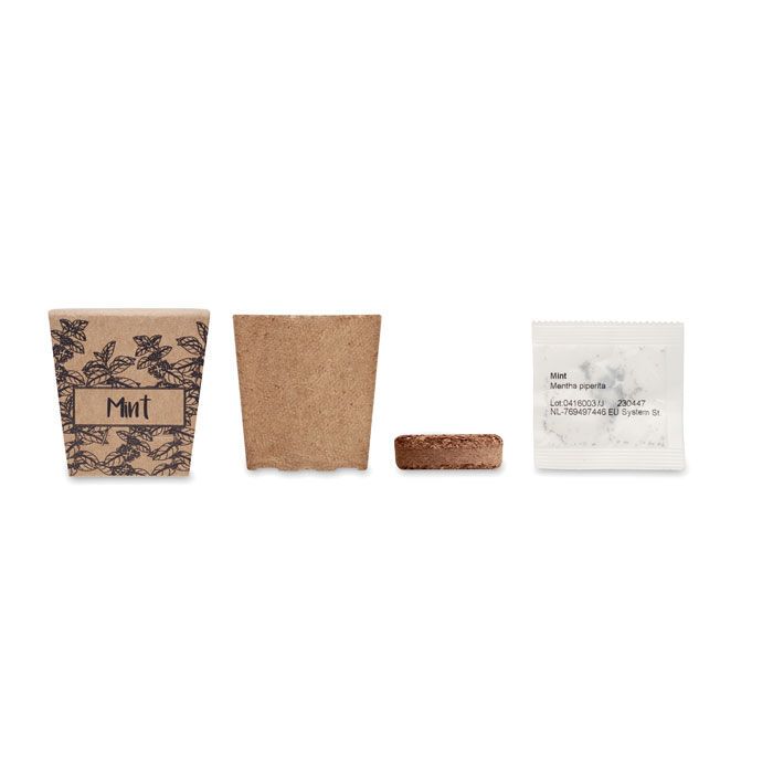 Pflanz-Set Minze MINT KIT - beige-292