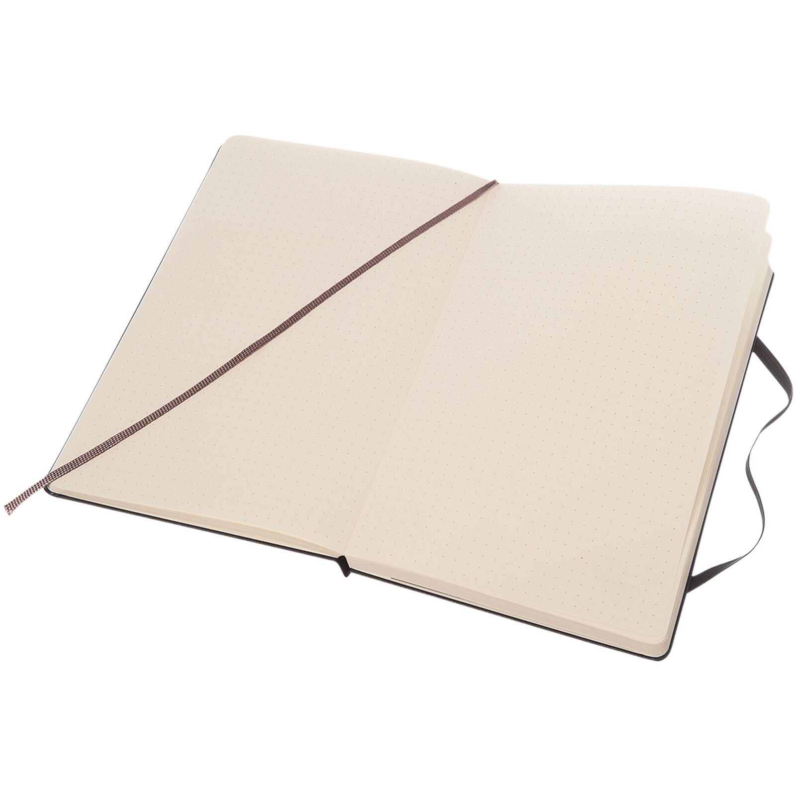 Moleskine Classic Hardcover Notizbuch L – gepunktet - schwarz-826
