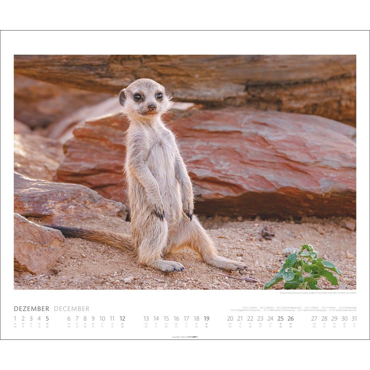African Wildlife - Tiere  Kalender-122