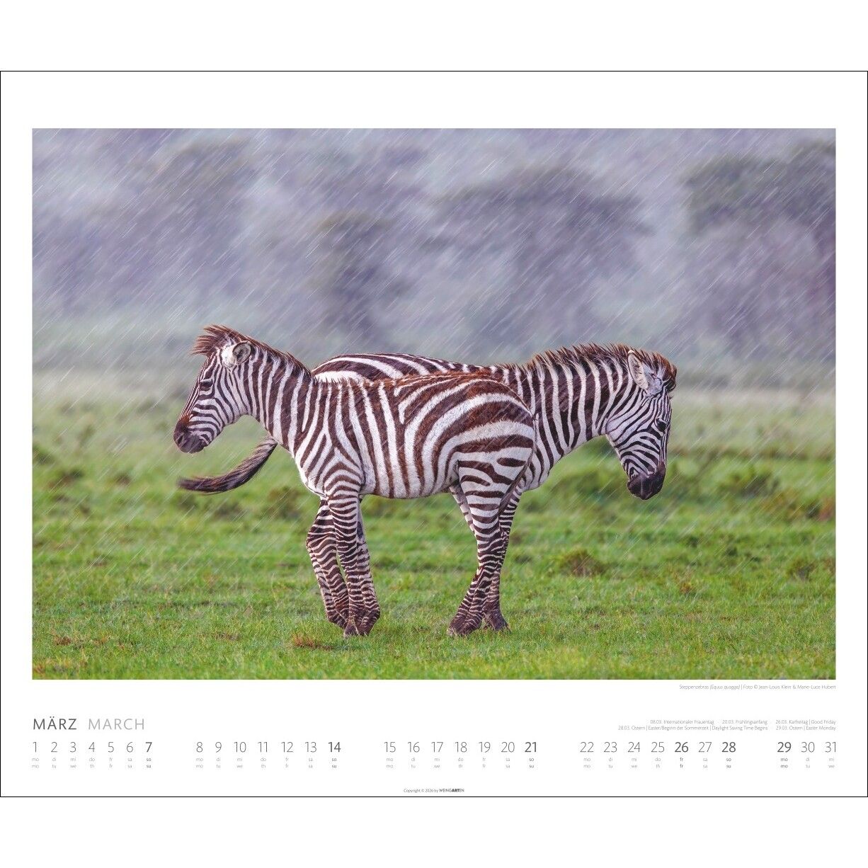 African Wildlife - Tiere  Kalender-202