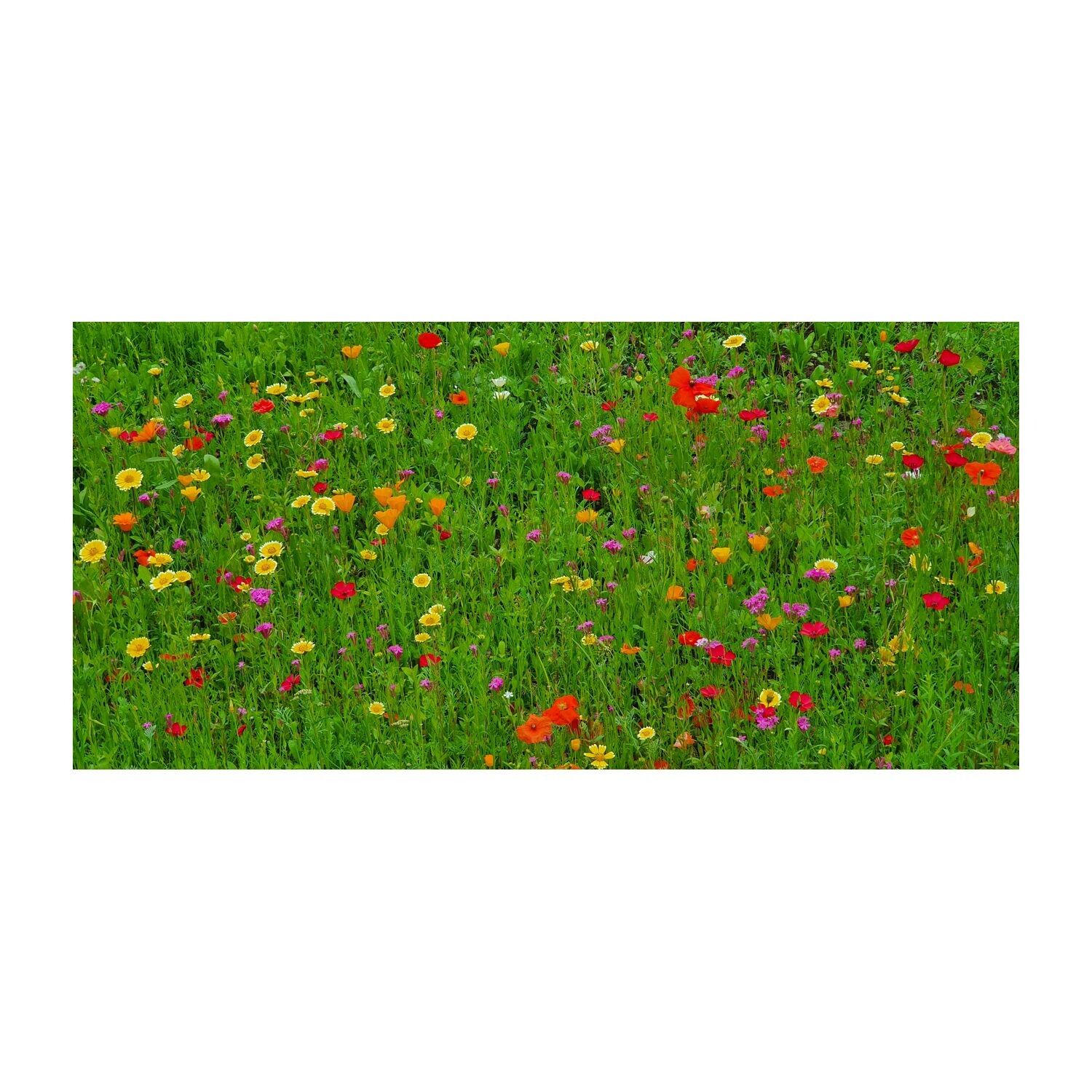 Blumenwiese Bee Happy, 3 Saatkugeln im Säckchen-505