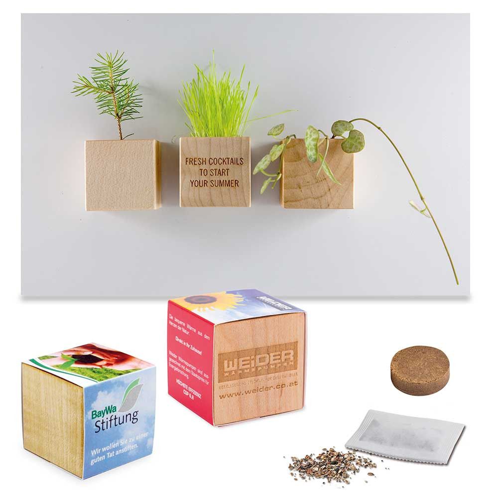 Pflanz-Holz Magnet mit Samen - Basilikum, 2 Seiten gelasert-617