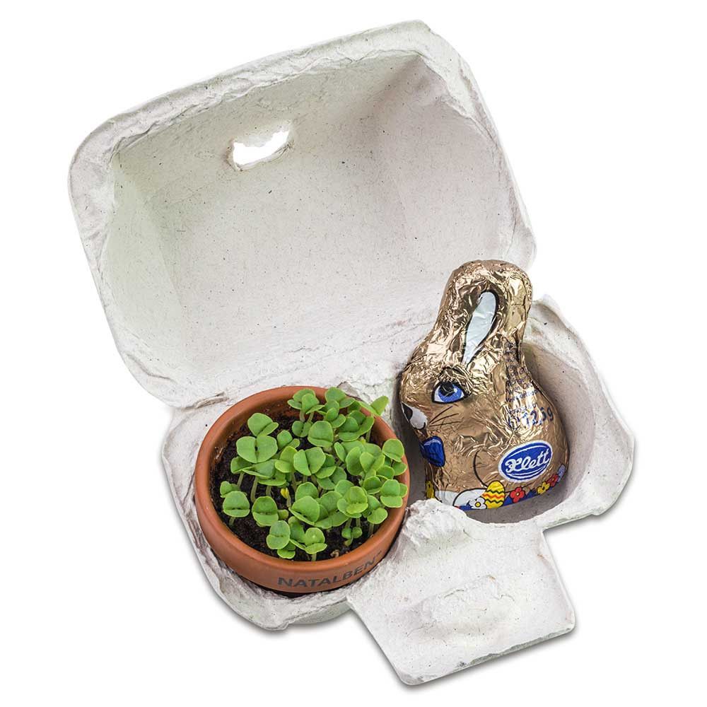 Das Gelbe vom Ei - Duo - mit Tontöpfchen und Schokohase-87