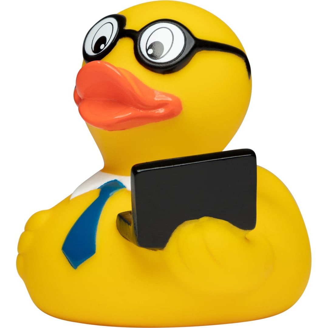 Quietsche-Ente Laptop - bunt-356