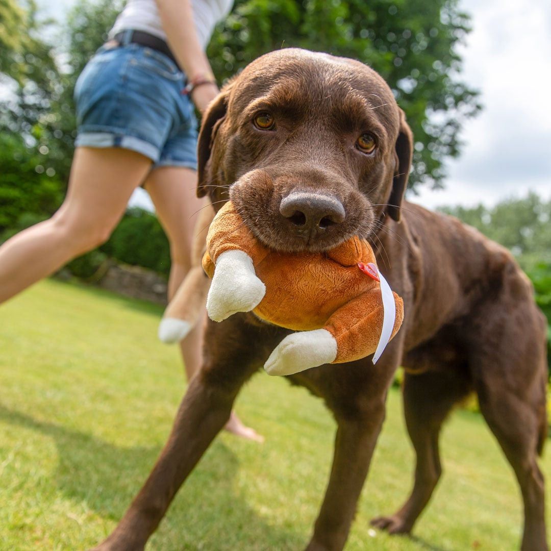 MiniFeet® Hundespielzeug Hähnchen - braun-213