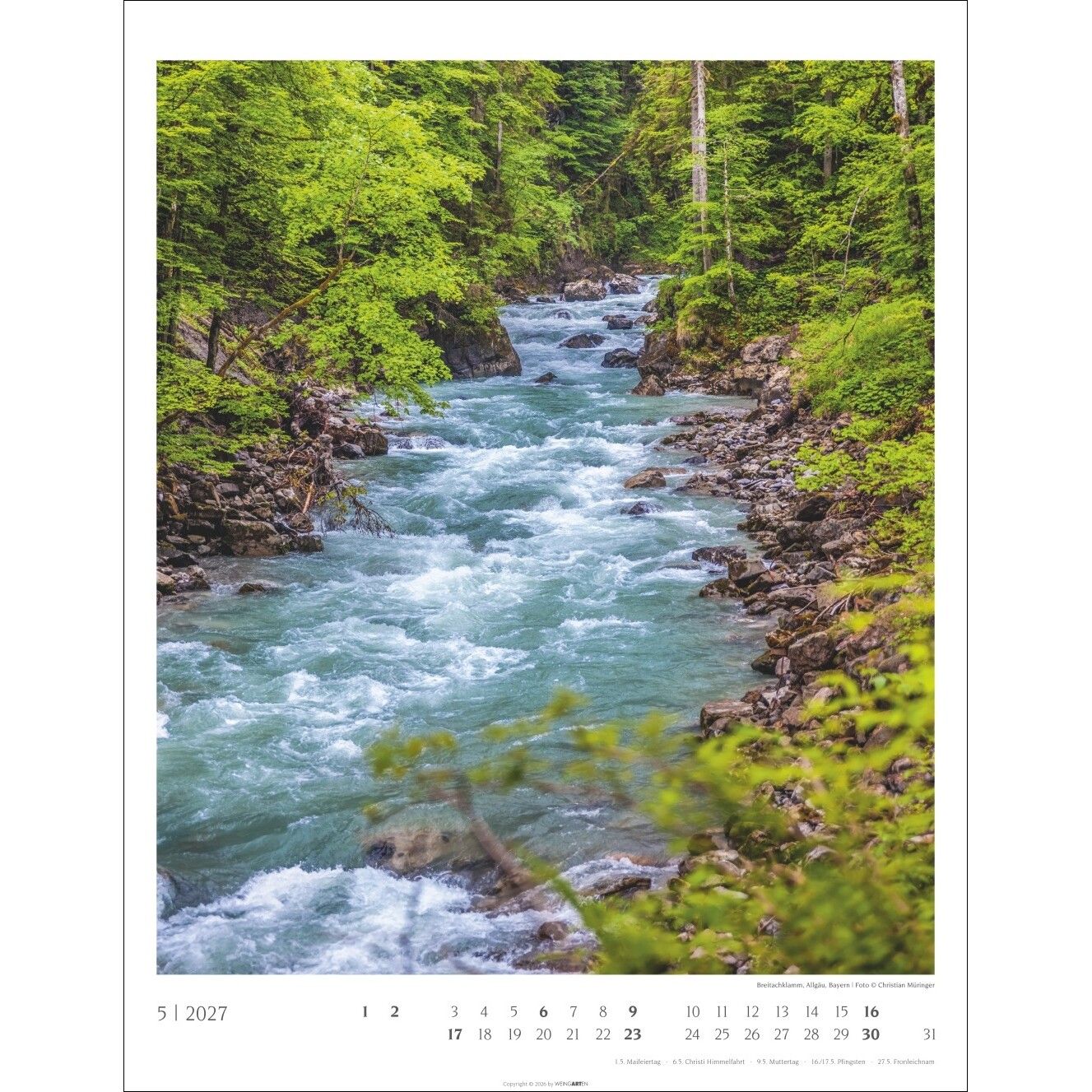 Heimische Wälder - Landschaft & Natur Kalender-99