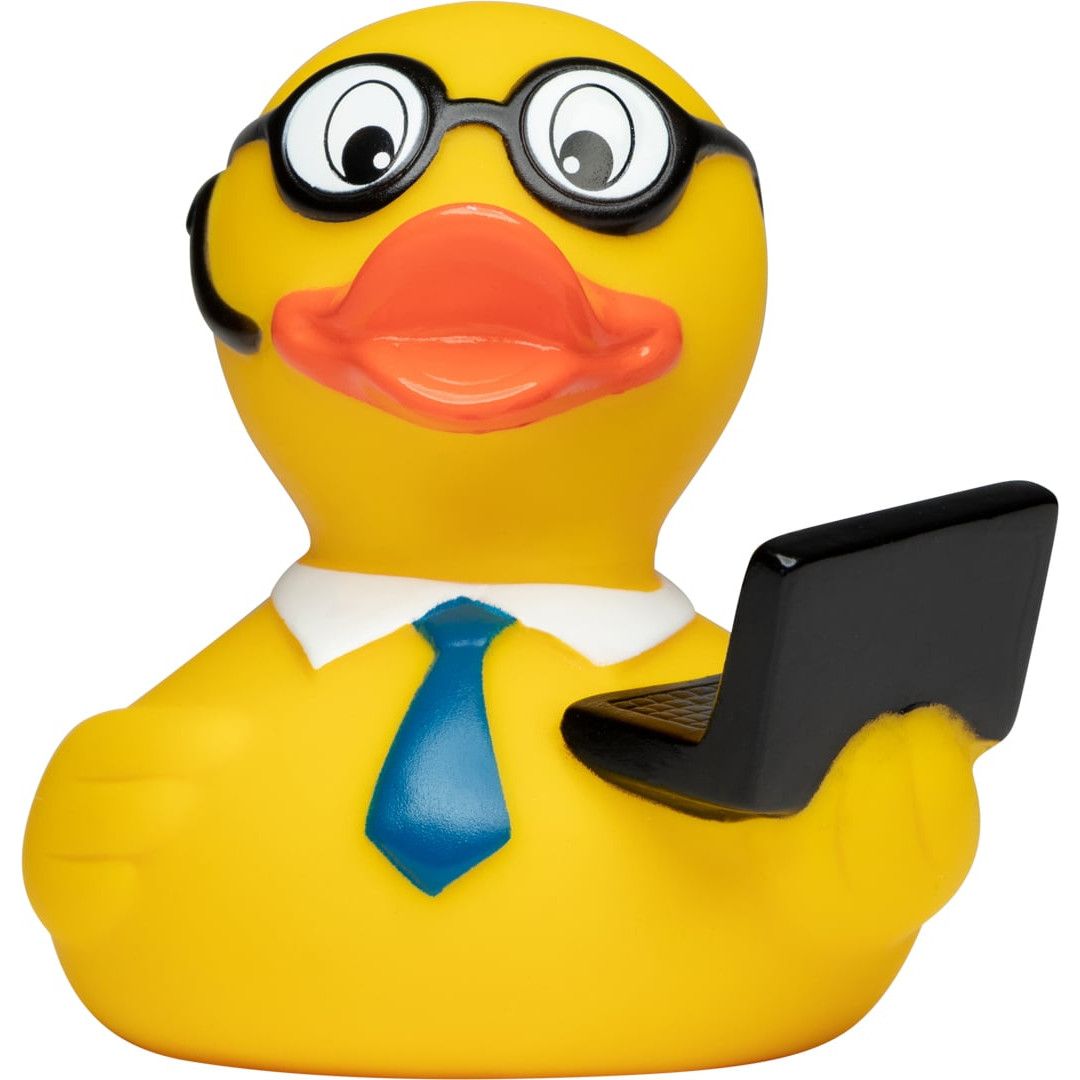 Quietsche-Ente Laptop - bunt-83