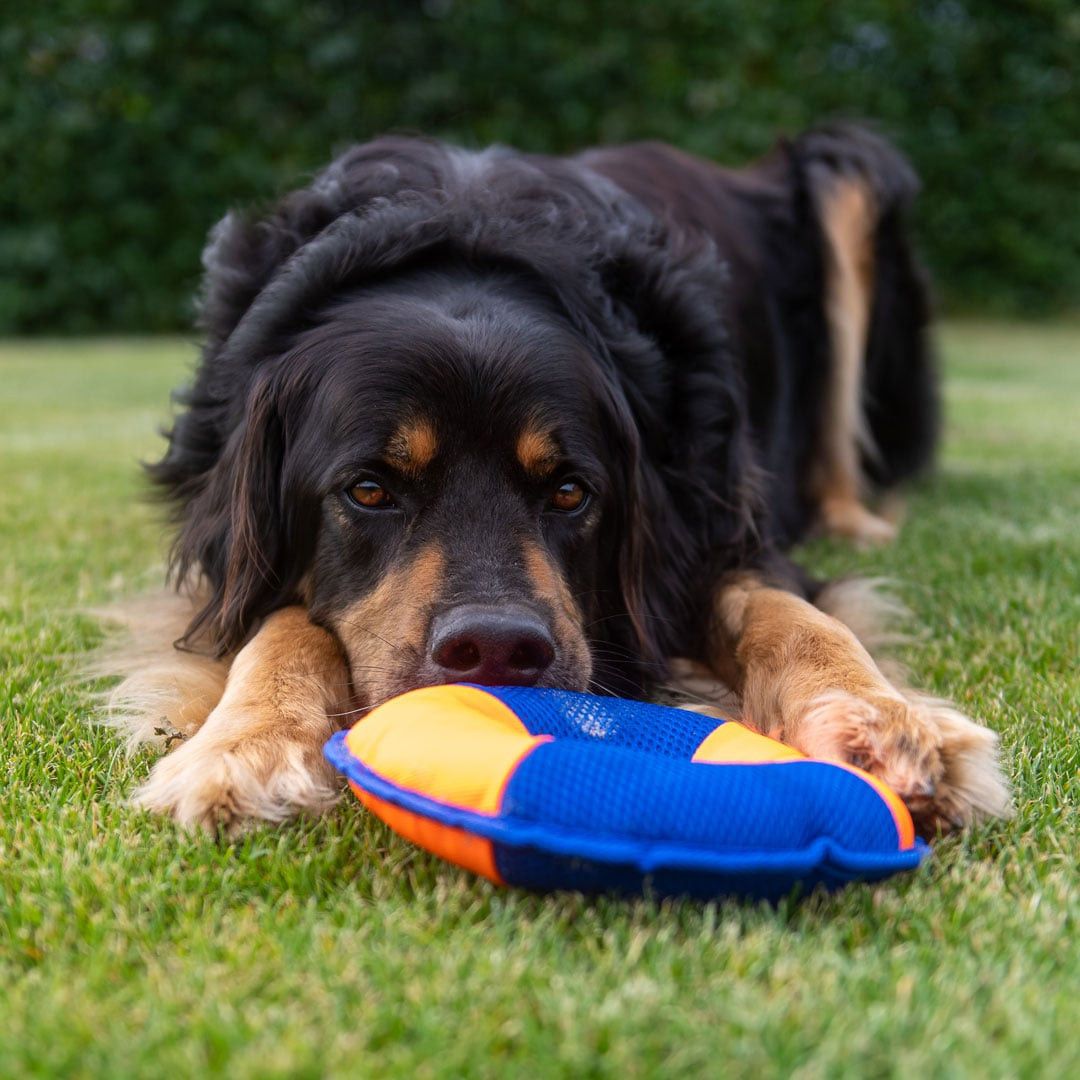 MiniFeet® Hundespielzeug Flying Disc - orange - blau-979