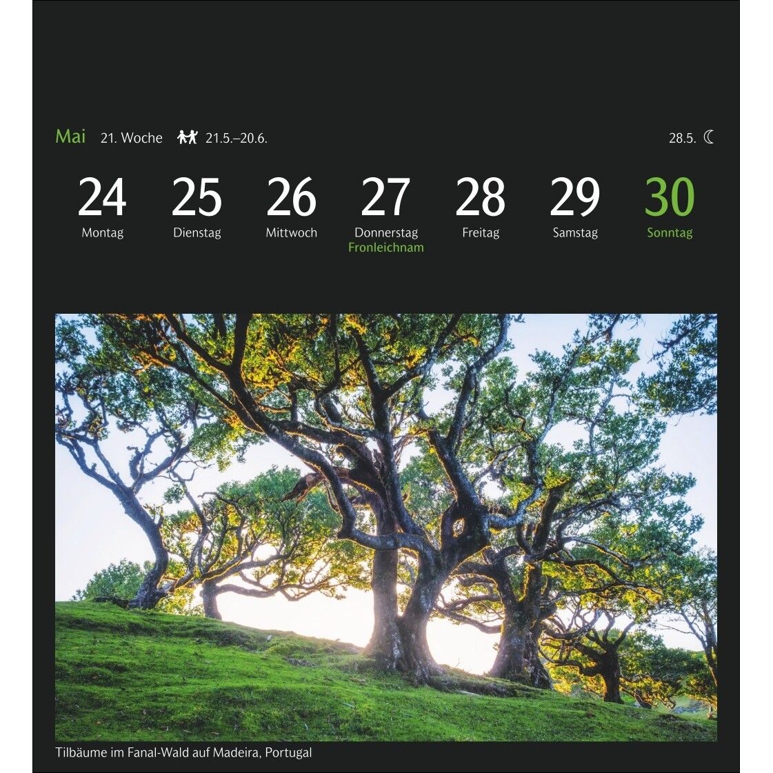 GEO Magische Natur Postkartenkalender-691