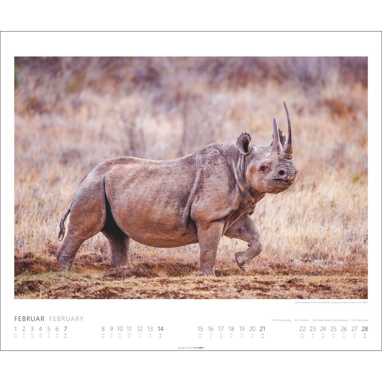 African Wildlife - Tiere  Kalender-459