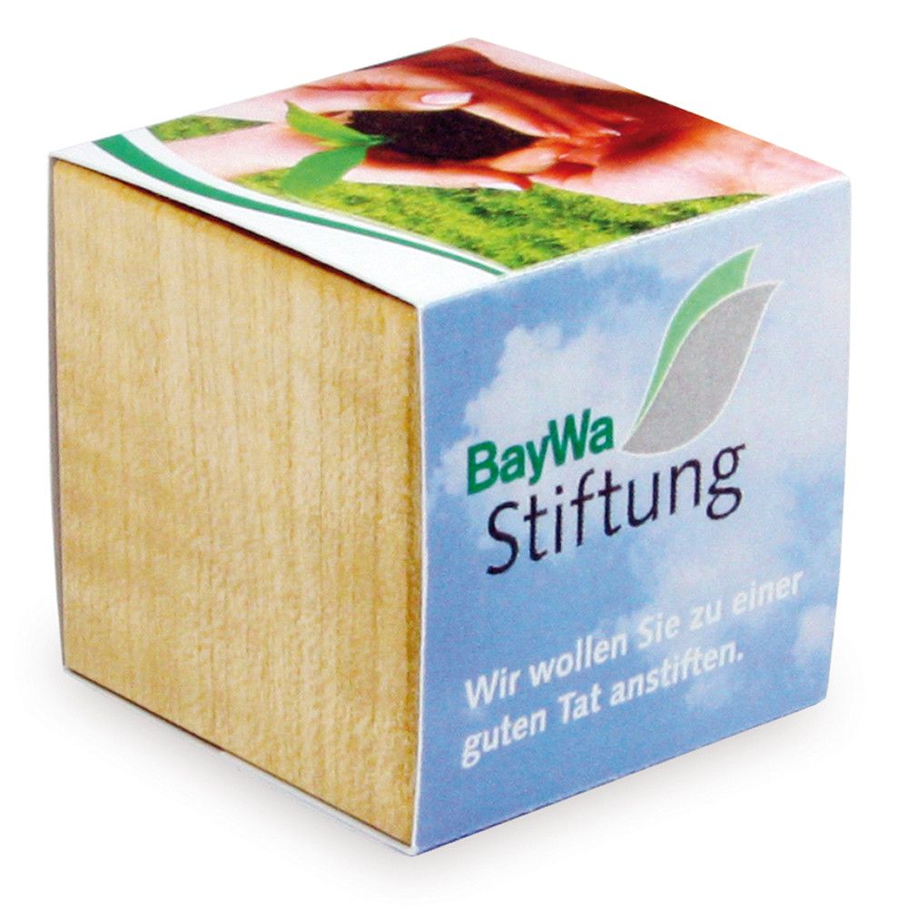 Pflanz-Holz mit Samen (Graspapier-Banderole) - Margerite, 2 Seiten gelasert-904