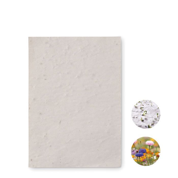 DIN A6 Wildblumen-Samenpapier ASIDO - weiß-158