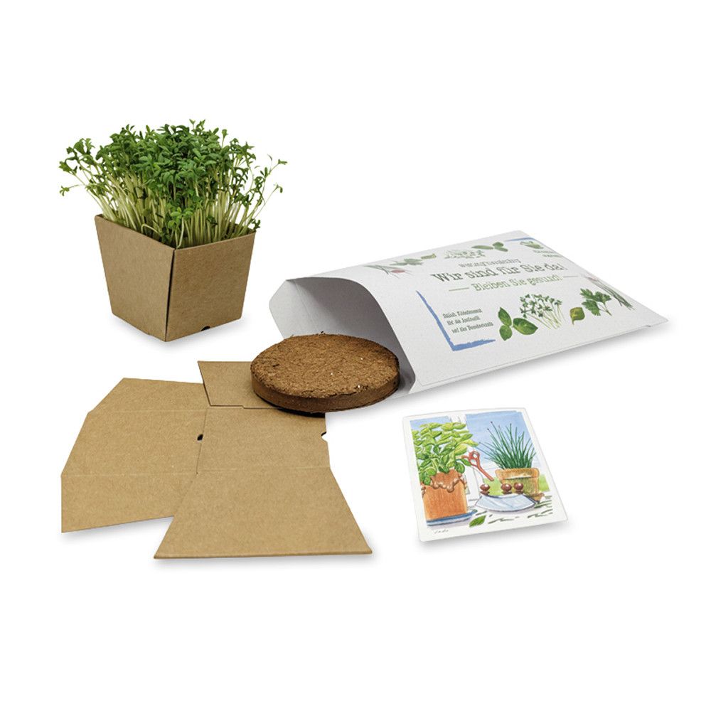 "Wünsch-Dir-Was" Samen-Pflanzset - (Recyclingpapier) Kresse-340