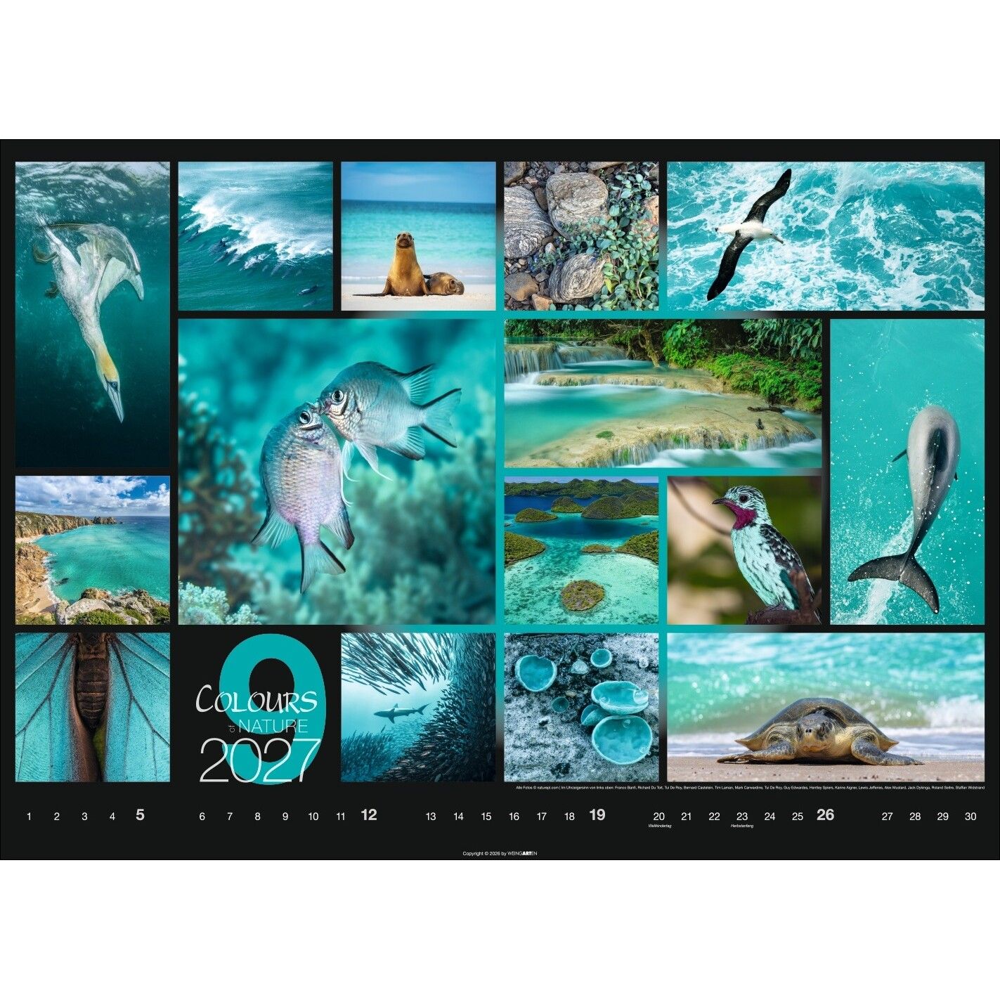 Colours of Nature - Landschaft & Natur Kalender-950