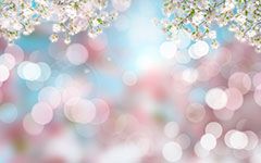 Frühling