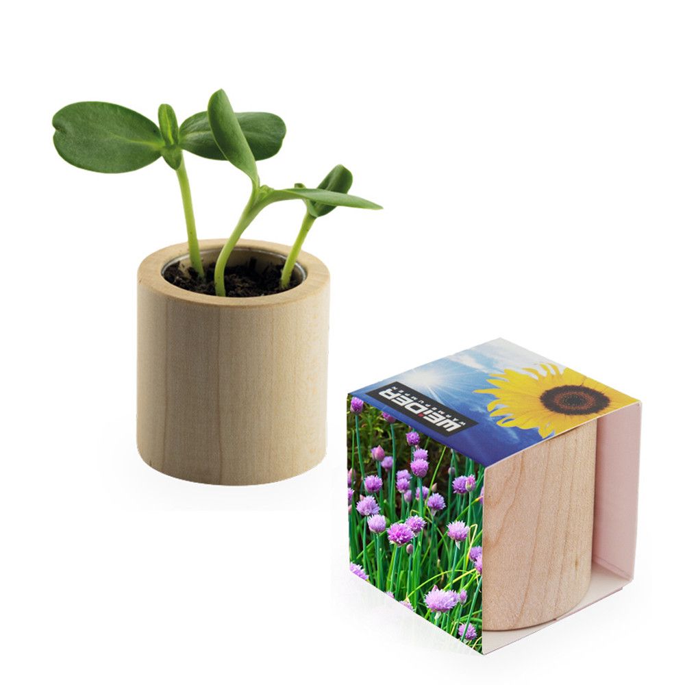 Pflanz-Holz rund mit Samen - Schnittlauch-321
