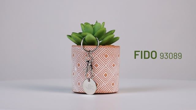 vimeo-1176290044.jpg