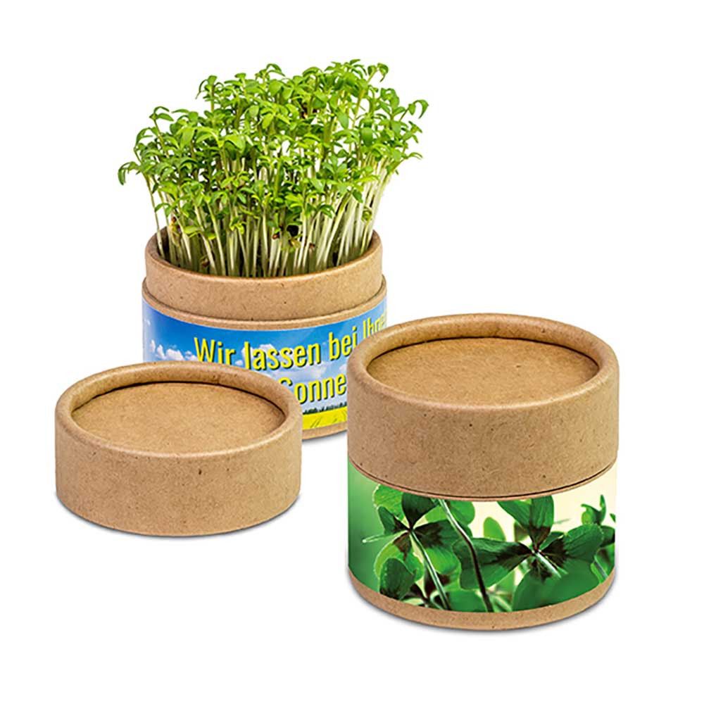 Pflanz-Cup mit Samen - Weihnachten - Glücksklee-Zwiebeln (* Je nach Verfügbarkeit der Glücksklee-Zwiebeln)-688