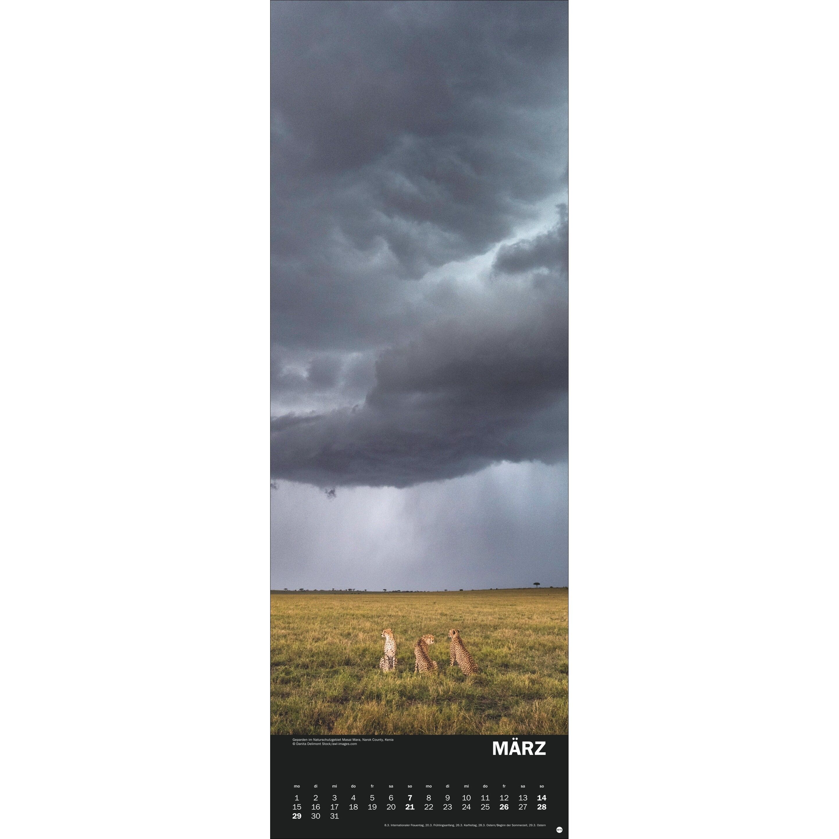 Naturgewalten Vertical - Landschaft & Natur Kalender-227
