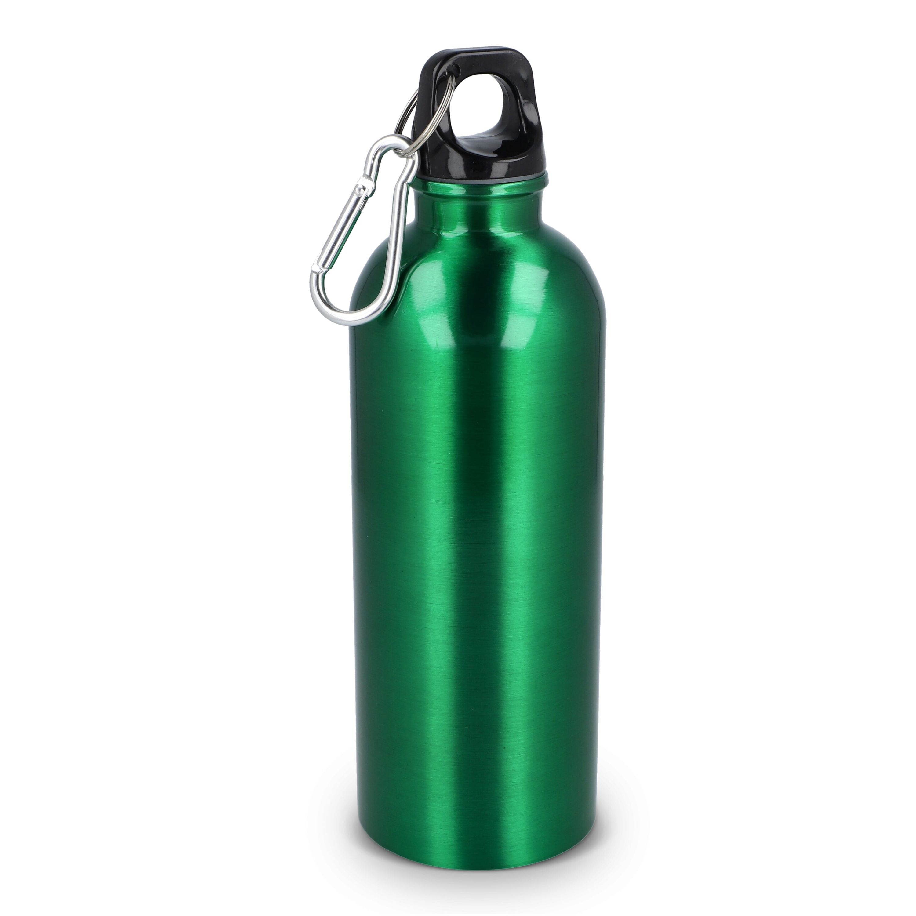 R-Edelstahl einwandige Flasche mit Karabiner 500 ml - hellgrün-264