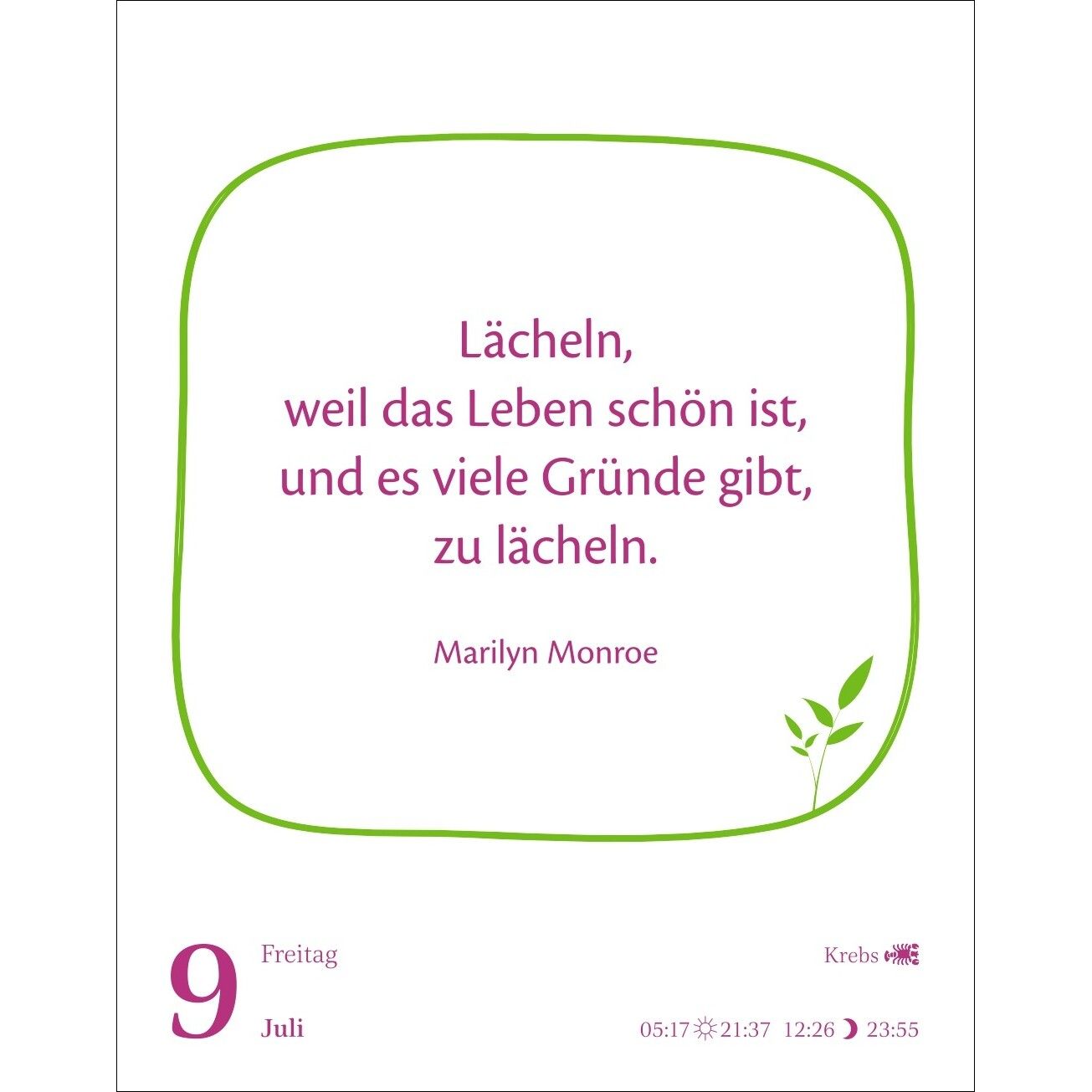 Heute ist dein Tag! Tagesabreißkalender-36