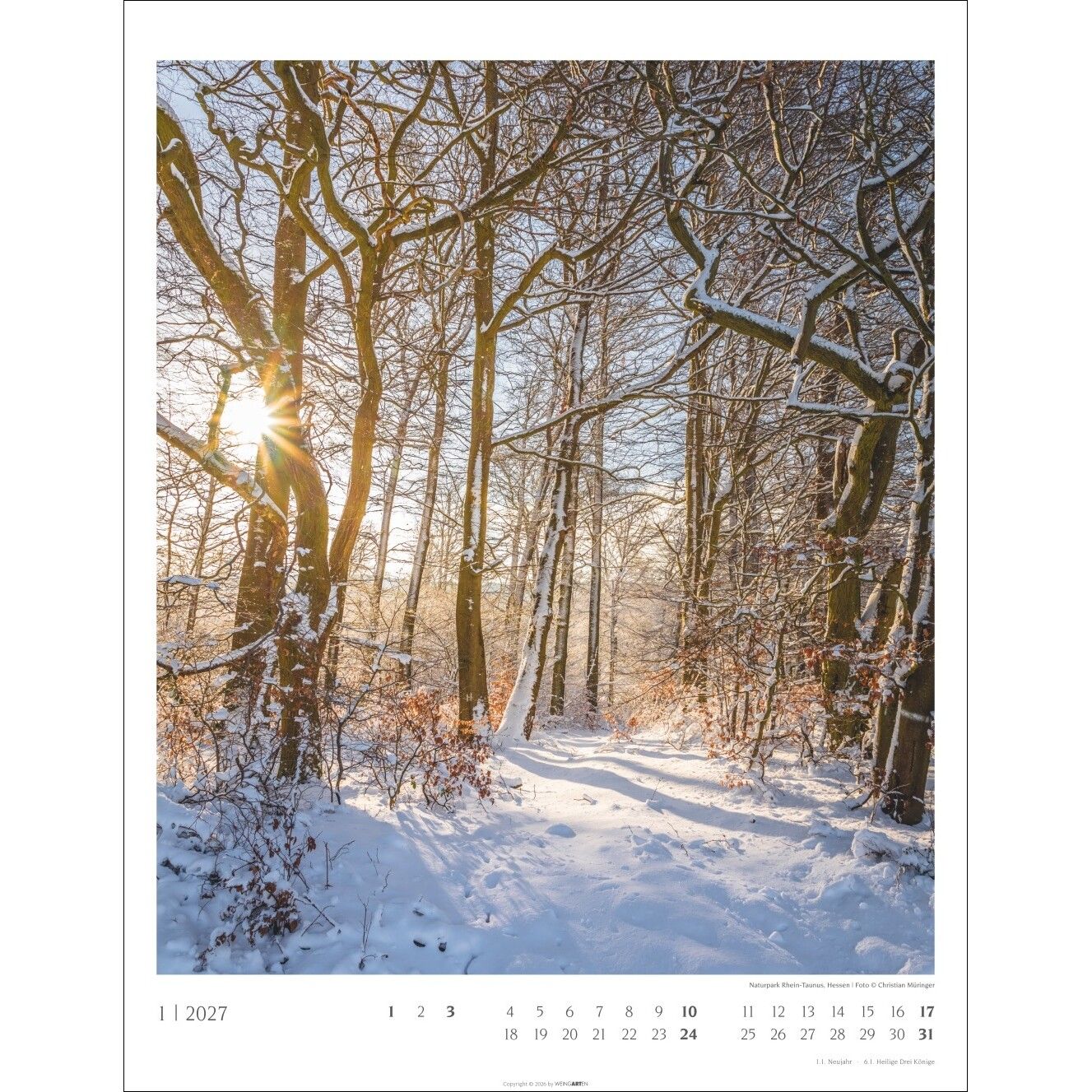 Heimische Wälder - Landschaft & Natur Kalender-642