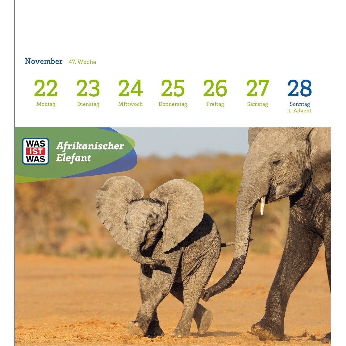 WAS IST WAS Geniale Tiere Postkartenkalender-403
